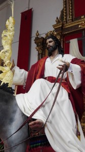 domingo ramos 2016 (2)