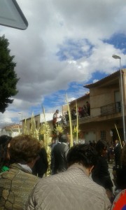 domingo ramos 2016 (27)  