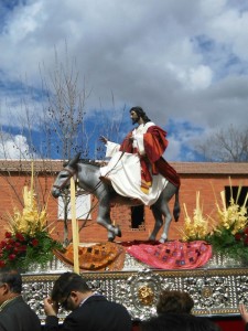 domingo ramos 2016 (28)  