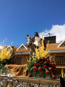 domingo ramos 2016 (29)  