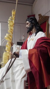 domingo ramos 2016 (4)