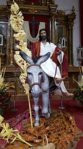domingo ramos 2016 (40)  
