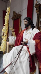 domingo ramos 2016 (5)