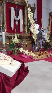 domingo ramos 2016 (6)