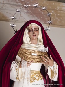 Im+ígenes de la Virgen con distintos vestidos (19)  