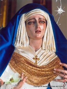 Im+ígenes de la Virgen con distintos vestidos (26)  