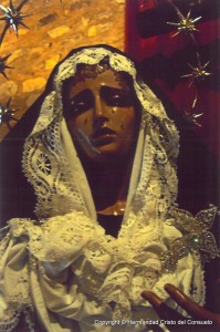 Im+ígenes de la Virgen con distintos vestidos (7)